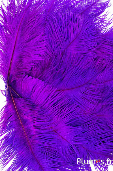 Strauss - 13-18 cm - pink-violett